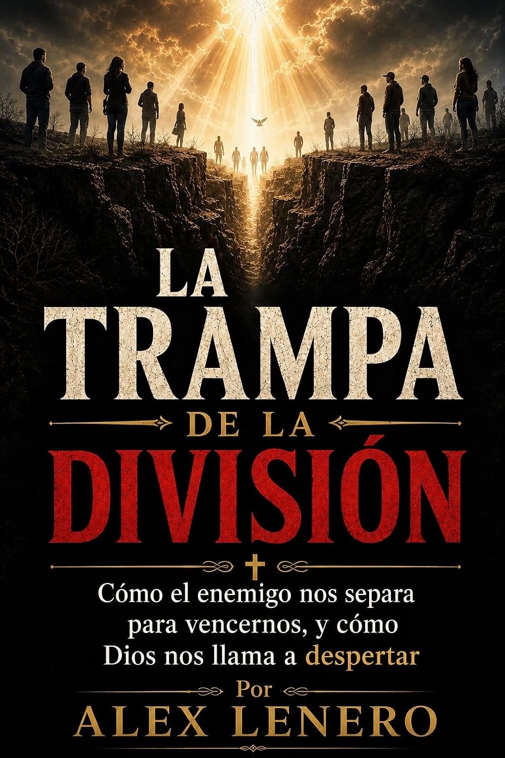 La Trampa de la División book cover